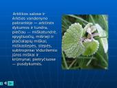 Europos ypatybės 14 puslapis