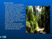 Europos ypatybės 17 puslapis