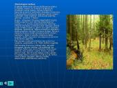 Europos ypatybės 18 puslapis