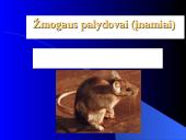 Faunistiniai Lietuvos regionai 19 puslapis