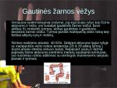 Fizinis aktyvumas ir onkologinių ligų prevencija 5 puslapis