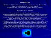 Fraktalai. Gamtos geometrija 11 puslapis