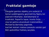 Fraktalai. Gamtos geometrija 15 puslapis