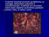 Fraktalai. Gamtos geometrija 16 puslapis