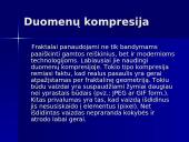 Fraktalai. Gamtos geometrija 19 puslapis