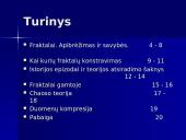 Fraktalai. Gamtos geometrija 3 puslapis