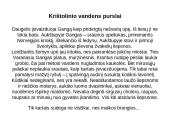 Gango upė 9 puslapis