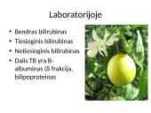 Gelta kaip kitų ligų simptomas 6 puslapis