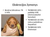 Gelta kaip kitų ligų simptomas 10 puslapis