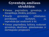Gyventojų amžiaus struktūros ypatumai regionuose 4 puslapis