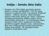 Indija ir Indijos charakteristika 8 puslapis