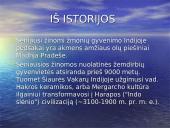Indijos valstybė 12 puslapis