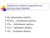 Informacija ir jos matavimo vienetai 13 puslapis