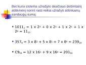 Informacija ir jos matavimo vienetai 14 puslapis