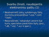 Kompiuterių virusai ir informacijos apsauga 4 puslapis
