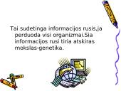 Informacijos klasifikacija ir savybės 11 puslapis