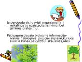 Informacijos klasifikacija ir savybės 13 puslapis
