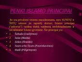 Islamo istorija bei simboliai 4 puslapis