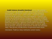Islamas ir musulmonai 10 puslapis