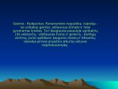 Islandijos faktai 11 puslapis