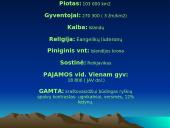 Islandijos faktai 17 puslapis