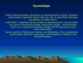 Islandijos faktai 9 puslapis