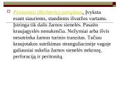 Įstrigusi išvarža 11 puslapis