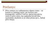 Įstrigusi išvarža 4 puslapis