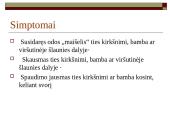 Įstrigusi išvarža 6 puslapis