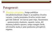 Įstrigusi išvarža 8 puslapis