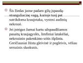 Įstrigusi išvarža 9 puslapis