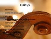 Johanas Sebastianas Bachas - biografija ir muzika 2 puslapis