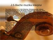 Johanas Sebastianas Bachas - biografija ir muzika 11 puslapis