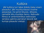 Svarbiausia informacija apie Jungtines Amerikos Valstijas 12 puslapis