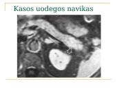 Kasos navikų diagnostika ir gydymas 9 puslapis