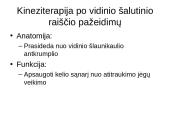 Kineziterapija po kelio sąnario raiščių pažeidimų 2 puslapis