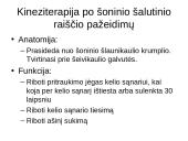 Kineziterapija po kelio sąnario raiščių pažeidimų 16 puslapis