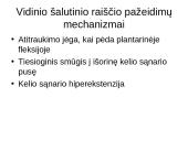 Kineziterapija po kelio sąnario raiščių pažeidimų 4 puslapis