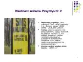 Klaidinanti reklama. Lyginamoji reklama 12 puslapis