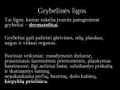 Kosmetologinių procedūrų metu plintančios ligos ir jų prevencija 10 puslapis