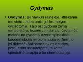 Kraujagyslinio dangalo vystymosi anomalijos ir navikai 18 puslapis