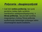 Kraujagyslinio dangalo vystymosi anomalijos ir navikai 7 puslapis