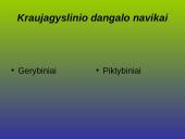 Kraujagyslinio dangalo vystymosi anomalijos ir navikai 9 puslapis