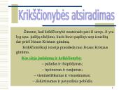 Krikščionybė - religijos atsiradimas ir plitimas 2 puslapis