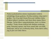 Krikščionybė - religijos atsiradimas ir plitimas 12 puslapis