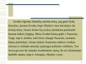 Krikščionybė - religijos atsiradimas ir plitimas 8 puslapis