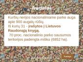 Kuršių nerijos nacionalinis parkas - klimatas, geologija, saugomos vietos, fauna bei flora 7 puslapis