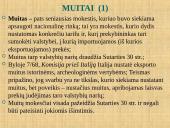 Laisvas prekių judėjimas Europos Sąjungoje 8 puslapis