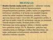 Laisvas prekių judėjimas Europos Sąjungoje 9 puslapis