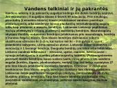 Lietuvos augalijos įvairovė 10 puslapis